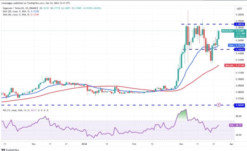 بررسی قیمت بیت کوین، دوج کوین و ۳ ارز دیجیتال دیگر با پتانسیل رشد قیمت در این هفته