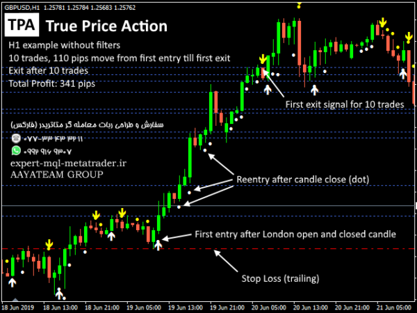 ربات معامله گر خودکار و استراتژی ساز TPA True Price Action MT4 Indicator متاتریدر 4 فارکس سایت mql5.com