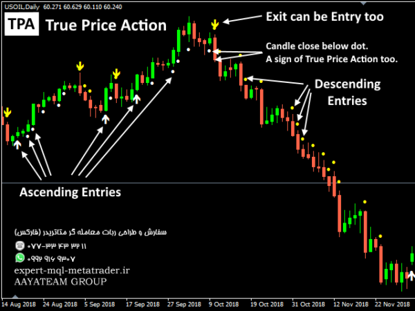 ربات معامله گر خودکار و استراتژی ساز TPA True Price Action MT4 Indicator متاتریدر 4 فارکس سایت mql5.com