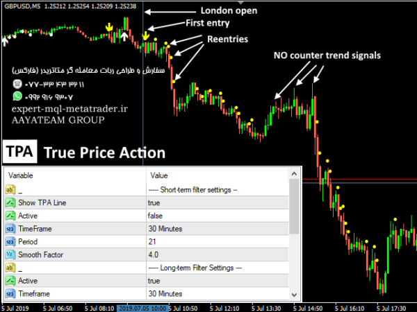 ربات معامله گر خودکار و استراتژی ساز TPA True Price Action MT4 Indicator متاتریدر 4 فارکس سایت mql5.com