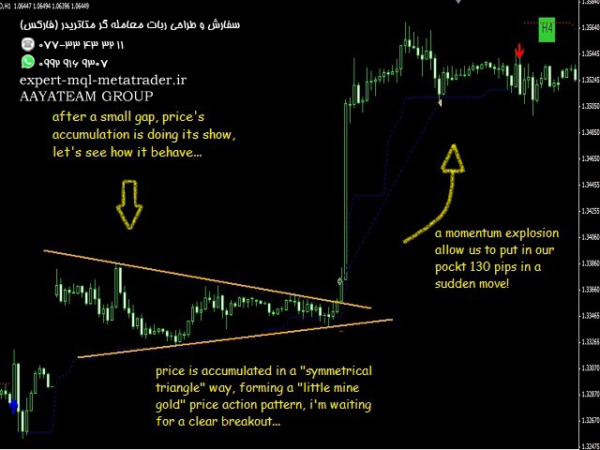 ربات معامله گر خودکار و استراتژی ساز WindFlow متاتریدر 4 فارکس سایت mql5.com