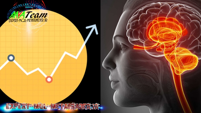 تا به حال اتفاق افتاده به قدری از انجام یک معامله عصبی شده باشید که اصلا از خیر آن گذشته و رهایش کرده باشید، اگر چه کاملا مطابق بر سیستم و برنامه معاملاتی که در دوره آموزش فارکس خود یادگرفته اید بوده است؟ یا اینکه از ضرر قبلی به اندازه‌ای عصبانی، آشفته و پریشان یا ناامید هستید که در موقعیت بعدی معامله‌ای انتقام‌جویانه انجام دهید؟از طرف دیگر، تاکنون “احساس درونی (احساس دل)” نسبت به اینکه معامله جاری با لمس حد ضرر بسته خواهد شد، یا اینکه احتمالا یک موقعیت خیلی خوب در حال شکل‌گیری است  و باید فورا به آن ورود کنید، را تجربه کرده‌اید؟  اگر این موارد برای شما نیز اتفاق افتاده (برای خودم هزاران باراتفاق افتاده)، پس خیلی خوش آمدید به مقاله  “چگونه بیولوژی و روانشناسی فیزیولوژیک روی معامله‌گری اثرگذار هستند”.در این مقاله، ابتدا به تعریف روانشناسی فیزیولوژیک می‌پردازم.  سپس درباره اینکه بیولوژی و روانشناسی فیزیولوژیک به چه طریقی معامله‌گری را مشکل می‌کنند و بر عملکرد روزانه شما تاثیر می‌گذارند صحبت می‌کنم.  در ادامه می‌پردازم به اینکه هر فردی خصوصیات مختلف بیولوژیکی یا روانشناسی-فیزیولوژیکی دارد که می‌توانند به شما در سودآوری بیشتر کمک کنند و اینکه چطور از این ویژگی‌ها به نفع خود استفاده کنید.   منظور از روانشناسی فیزیولوژیک چیست؟ روانشناسی فیزیولوژیک شاخه‌ای از علوم عصب‌شناسی (علم مغز و دستگاه عصبی مرکزی) است که بیان می‌کند چگونه شرایط ذهنی و واکنش‌های بیولوژیکی و روانشناسی-فیزیولوژیکی می‌توانند بر احوال، مهارت‌های شناختی، توانایی‌های تجزیه و تحلیل، ادراک، تصمیم‌گیری و ذهنیت شما تاثیرگذار باشند.  به بیانی ساده: حالت فعلی بدنی و مغزی شما بر توانایی‌های ذهنی شما موثر هستند، توانایی‌هایی که برای تصمیم‌گیری‌های معاملاتی و انجام معاملات سودآور حیاتی هستند.  اینطور در نظر بگیرید: بیولوژی اینکه چرا در معامله‌گری فارکس ضرر می‌کنید.  درک این موضوع بسیار ضروری است، به این خاطر که وقتی از مکانیزم‌های مختلف بیولوژیکی و روانشناسی-فیزیولوژیکی و نحوه اثرگذاری آن‌ها بر توانایی‌های ذهنی خود آگاهی داشته باشید، می‌توانید با استفاده از روش‌هایی با اثرات منفی آن‌ها مقابله کنید و به این ترتیب در زمان معامله‌گری تصمیمات اشتباه نگیرید.  چگونه بیولوژی و روانشناسی فیزیولوژیک معامله‌گری را مشکل می‌کنند.   داشتن خواب راحت و کامل  در ابتدا با یک موضوع ساده شروع می‌کنم که به وضعیت کنونی من هم ارتباط دارد. شب گذشته اوقات خیلی خوب و مفرحی با دوستانم داشتم و تا دیروقت بیدار بودم و باعث شد ۲ ساعت کمتر بخوابم.  خواب برای بدن و مغز شما بسیار اهمیت دارد، چرا که الف) اجازه می‌دهد مغز شما سم‌زدایی کند، استراحت داشته باشد و خود را پاکسازی کند و ب) اجازه می‌دهد همزمان با اینکه اندام‌های داخلی مشغول پاکسازی و آماده‌سازی برای روز کاری بعدی هستند، بدن شما استراحت کند.  آیا می‌دانستید پژوهشی که توسط دکتر واکر(Dr. Walker) در آزمایشگاه خواب و تصویربرداری عصبی بِرکلی انجام گرفته نشان می‌دهد افرادی که کمتر از معمول (۶ ساعت) خوابیده‌اند، ۸۱ درصد لغات با مفهوم منفی (مانند عصبانیت، ترس و ضرر) را که با آن‌ها مواجه شده بودند را به یاد آورده‌اند و تنها ۳۱ درصد واژگان با بار معنایی مثبت را به یاد داشتند.  تفسیر: خواب کمتر از میزان مورد نیاز باعث می‌شود مغز شما تمایل زیادی به افکار منفی نشان دهد.  حال که ذهن شما برای دیدن حوادث منفی بیشتر از اتفاقات مثبت آمادگی دارد، فکر می‌کنید می‌تواند بر عملکرد و تصمیم‌گیری‌های معاملاتی شما موثر باشد؟  تا به حال اتفاق افتاده که در یک معامله موفق ناگهان نمودار قیمت در خلاف جهت شروع به حرکت کند و بلافاصله احساس “ترس و وحشت” کنید؟ این امر به دلیل بیولوژی و روانشناسی فیزیولوژیک است که علیه شما عمل می‌کنند و معامله‌گری را دشوار می‌سازند. به همین علت است که از ضرر کردن و از دست دادن سرمایه هراس داریم.  جهت اطلاع … کمبود خواب  بطور تصاعدی افزایش می‌یابد … لذا کمبود خواب در طول یک بازه زمانی طولانی به شدت بر شرایط و ظرفیت ذهنی موثر است.  نمودار و تصویر زیر نشان می‌دهند که چگونه کمبود خواب در طول زمان بر مغز و عملکرد شما تاثیرگذار هستند.  تصویر ۱: چگونه کمبود خواب منجر به افت عملکرد می‌شود   تصویر ۲ : مغز شما در شرایط خواب کم یا زیاد   ترس از ضرر کردن نمونه‌ای دیگر از اینکه چگونه بیولوژی و روانشناسی فیزیولوژیک معامله‌گری را دشوار می‌کنند، ترس از ضرر کردن است.  “ترس” به حدی در ما نهادینه شده و ریشه کرده که سابقه آن به هزاران سال قبل و نیاکان ما برمی‌گردد، زمانی که بقا در گرو جنگ و مبارزه‌ برای غذا، جان‌پناه و امنیت بود و تلاش و کشمکشی سخت که یا به مرگ ختم می‌شد و یا با ادامه حیات همراه بود.   قانون از این قرار بود: “غذا بخور، غذا نشو.”  متاسفانه تجربیات اجداد ما در DNA ما وارد شده، به ویژه در DNA مغز و دستگاه عصبی. ۱۰٫۰۰۰ سال پیش، یک نفر از هر هشت نفر در راه محافظت از خانواده، جان خود را از دست می‌داد. این امر سبب شد در برابر “تهیدها” بیشتر احساس “ترس و وحشت” کنیم و لذا به نوعی “تمایل منفی” همراه با واکنش و پاسخ “جنگ، گریز یا میخکوب شدن” تبدیل شد.   خبر فوری: اگر چه در قرن بیست و یکم زندگی می‌کنیم و احتمال فوت پیش از دوران کهنسالی ۱ به ۱۰۰ است، همچنان در قبال محرک‌هایی که تهدیدآمیز نیستند نیز واکنش‌های جنگ، گریز یا میخکوب شدن را نشان می‌دهیم. ترس از ضرر کردن از جمله چنین واکنش‌هایی است.  در واقع این گرایش به منفی‌نگری (ترس و وحشتی که اثری منفی بر حیات و بقای ما دارد) به حدی در ما قدرتمند است که فضای عصبی تشخیص منفی‌ها به اندازه ۵۰۰ درصد بیشتر از فضای شناسایی مثبت‌ها است!  فکر می‌کنید اگر به ازای هر ۶ محرکی که از بازار دریافت می‌کنید، ۵ مورد از آن‌ها منفی، تهدیدآمیز یا زیان‌آور تلقی شوند در مقایسه با حالتی که مثبت یا سودآور برداشت می‌شدند، چه تاثیری بر ذهنیت معامله‌گری شما می‌گذارد؟ فکر می‌کنید چه چیزی باعث می‌شود که برداشت شما از تغییر رفتار قیمت (پرایس اکشن) برخلاف منافع معامله شما عمل کند؟   تا به حال شده در طول یک روز، هفته یا ماه خیلی خوب عمل کنید و معاملات موفقی داشته باشید، اما ناگهان با یک ضرر تمام سودهای خود را از دست بدهید؟حال در میان تمام این معاملات که اکثر آن‌ها موفق بودند، کدام یک را بیشتر به یاد دارید؟ آن ضرر بزرگ یا معاملات موفق متوالی؟ من حدس می‌زنم که شما معامله‌ای را که با ضرر و زیان بزرگی همراه بوده را بیشتر  از دیگر معاملات به یاد می‌آورید.  این مثال دیگری است از اینکه چگونه تمایل به منفی‌نگری می‌تواند عملکرد معاملاتی شما را مختل کند و چه ارتباطی با فضای عصبی مغز دارد (اینکه نواحی مغز شما چطور سیم‌کشی شده‌اند).   آیا می‌دانستید بین ۵ تا ۷ ثانیه طول می‌کشد تا متوجه یک چیز مثبت در محیط اطراف خود شوید، در حالیکه درک و دریافت عوامل منفی یا تهدیدکننده کمتر از ۰٫۱ ثانیه زمان می‌برد؟ فکر می‌کنید واقعا این موضوع بر ذهنیت معاملاتی، ادراک و تصمیمات شما درباره اتفاقاتی که حول معامله باز شما رخ می‌دهد موثر است؟ امیدوارم اینطور باشد.  می‌توانم صدها مثال و نمونه دیگر در این زمینه بیان کنم، اما حال دیگر باید به وضوح بدانید که چگونه بیولوژی و روانشناسی فیزیولوژیک ما می‌توانند معامله‌گری را سخت و دشوار کنند. ولی تمام این‌ها بطور مطلق منفی و بد نیستند، بلکه وجوه مثبت و خوبی هم دارند.   چگونه بیولوژی و روانشناسی فیزیولوژیک معامله‌گری را ساده می‌کنند  علیرغم اینکه تعداد سلول‌های عصبی مخصوص شناسایی عوامل منفی در برابر سلول‌های مربوط به تشخیص عوامل مثبت ۵ برابر بیشتر هستند، اما هنوز یک ورق آس در زیر آستین بیولوژیکی و نورولوژیکی (عصب‌شناسی) خود دارید.  به عنوان مثال، مغز شما یک ویژگی فوق‌العاده به نام “نوروپلاستی” دارد، بدین معنی که مغز شما این قابلیت را دارد که مطابق تجربیات شما، محیط اطراف، آنچه بر آن تمرکز دارید و دیگر افکار ریز و درشتی که در ذهن شما جریان دارند، سیم‌کشی خود را تغییر دهد.   نوروپلاستی وابسته به تجربیات (EDN) قابلیت شکل‌گیری و سیم‌کشی عادات جدید داخل مغز از طریق دو عامل اصلی زیر است:  ۱) نورون‌هایی (سلول‌های عصبی) که با هم فعال می‌شوند، به هم وصل می‌شوند  ۲) حالات ذهنی مداوم، ویژگی‌های عصبی ماندگار پدید می‌آورند  معنی و مفهوم: شما می‌توانید اشتباهات، تصمیمات یا فرایند‌های فکری خود را که بر ذهنیت و عملکرد معاملاتی شما موثر هستند، از طریق فعال کردن نورون‌های جدیدی داخل مغز خود، اصلاح کنید (مانند تغییر دادن افکار، احساسات یا ذهنیتی که هر روزه تجربه می‌کنید).  تصور کنید که بر خطاهای ذهنی یا موانعی که هر روز در معاملات خود با آن‌ها مواجه می‌شوید، غلبه کرده‌اید.  تصور کنید که دیگر از ورود به معاملات، ضرر و زیان، یا معاملات موفقی که ناگهان تغییر جهت می‌دهند و خلاف میل شما پیش می‌روند، هراسی ندارید.  شما می‌توانید یاد بگیرید که این قبیل تجربیاتی که مانع از سودآوری شما می‌شوند را تغییر دهید.  نوروپلاستی نمونه‌ای است که نشان می‌دهد چگونه بیولوژی و روانشناسی فیزیولوژیک می‌توانند معامله‌گری را سهل و آسان کنند. همچنین شما مجهز به ابزار دیگری نیز هستید که می‌تواند معامله‌گری را ساده‌تر کند و از قبل با آن آشنایی دارید، چیزی که تحت عنوان “احساس دل” شناخته می‌شود.  اگرچه ممکن است عبارت “احساس دل” عامیانه و ضعیف به نظر برسد، اما ریشه علمی دارد.   آیا مغز دومی هم داریم؟  آیا می‌دانستید که دل و روده شما در مقایسه با پیام‌هایی که از مغز دریافت می‌کند، سیگنال‌های بیشتری برای مغز ارسال می‌کند؟  آیا می‌دانستید که شما یک سیستم عصبی کامل دارید که تعداد سلول‌های عصبی آن ۵ برابر بیشتر از سلول‌های عصبی ستون فقرات شماست؟   سیستم عصبی روده‌ای در طول روده‌ها قرار دارد که از مری شروع می‌شود و به مقعد ختم می‌شود.  این سیستم معمولا به عنوان “مغز دوم” شناخته می‌شود، چرا که الف) می‌تواند مستقل از مغز فعالیت کند و ب) از پیام‌رسان‌های عصبی مشابه پیام‌رسان‌های مغز استفاده می‌کند مانند دوپامین (یعنی تجربه احساس سرخوشی و پاداش) و سروتونین.  در حقیقت بیش از ۹۰ درصد سروتونین بدن در روده‌ها یافت می‌شود. سروتونین یک پیام‌رسان عصبی بسیار ضروری است، چرا که برای ایجاد احساس رضایت و خشنودی، تاثیر بر حافظه، یادگیری، حال و حوصله و خواب اهمیت زیادی دارد. حال می‌بینید چطور “دل و روده” می‌تواند بر عملکرد معاملاتی شما اثرگذار باشد؟  اینجاست که نقش عصب واگ پررنگ می‌شود.   عصب واگ  شما اعصاب جمجمه‌ای بسیاری داخل مغز خود دارید (در مجموع ۱۲ عصب) که دهمین آن‌ها از اهمیت بسیار زیادی برخوردار است. این عصب به عنوان عصب واگ شناخته می‌شود که از مغز (پیاز مغز) تا معده امتداد دارد و در طول این مسیر بسیاری از اندام‌های اصلی بدن را عصب‌دار می‌کند.  این عصب طولانی‌ترین عصب ANS (دستگاه عصبی خودگردان) در سرتاسر بدن است و می‌تواند بر ضربان قلب، ریه‌ها، تعریق، حرکات عضلانی، هاضمه و غیره موثر باشد. عصب واگ اطلاعات حسی درباره شرایط اندام‌های بدن را به CNS (دستگاه عصبی مرکزی) منتقل می‌کند.  عصب واگ ممکن است در اثر واکنش‌های احساسی یا استرس حین معاملات به شدت تحریک شود. این سیگنال‌ها می‌توانند خوب یا بد باشند. اما در هر صورت تجربه ما از عصب واگ و دستگاه عصبی روده‌ای شامل همان “احساس دل” می‌شود.  این امر ناشی از این است که دل و روده شما ممکن است در حین یک معامله باز از طرف مغز یا بدن سیگنال‌هایی مبنی بر خوب بودن یا وخیم بودن اوضاع دریافت کند. اغلب اوقات این سیگنال‌ها در سطح ناخودآگاه بدون جلب توجه عبور می‌کنند، اما می‌توانند آشکار شوند چرا که شما با دل و روده خود به طرز نامناسبی برخورد کرده‌اید (رژیم غذایی ناسالم یا غذای ناسالم و غیره).   در صورتی که سیستم شما به خوبی تنظیم شده باشد، “احساس دل” می‌تواند در مواقعی که خطری در راه است، به مثابه یک سیگنال هشدار باشد، یا مانند یک نورافکن موقعیت‌های خوب را پیش از اینکه از دست بروند نشان دهد.  آیا تاکنون موارد فوق را تجربه کرده‌اید؟ در این صورت می‌دانید که بیولوژی و روانشناسی فیزیولوژیک چگونه می‌توانند بر عملکرد معاملاتی شما موثر باشند.   سخن پایانی  بیولوژی و روانشناسی فیزیولوژیک از راه‌های بسیاری می‌توانند معامله‌گری را سخت (ویا ساده) کنند. بنابراین برای شما به عنوان یک معامله‌گر ضروری است که چگونگی تشخیص این قبیل پاسخ‌ها یا واکنش‌ها، و همینطور نحوه تغییر آن‌ها را بیاموزید و اینکه چگونه می‌توان از آن‌ها جهت بهبود تصمیمات معاملاتی و در نتیجه سودآوری بیشتر، استفاده کرد.  به نظرم اخیرا صنعت آموزش معامله‌گری و اساتید این حوزه به اهمیت این موضوع و تاثیر منفی یا مثبتی که بدن و مغز بر عملکرد معاملاتی دارند یا می‌توانند داشته باشند، پی برده‌اند.  همچنین به نظرم صنعت آموزش معامله‌گری باید یا بهتر است در راستای استفاده از این علوم به منظور تربیت معامله‌گران بهتر و کاهش خطاهای معاملاتی، تلاش و جدیت مضاعفی به خرج دهد.   حال نوبت شماست  آیا متوجه شدید که چگونه بدن و مغز می‌توانند بر ذهنیت و تصمیمات معاملاتی شما موثر باشند؟ آیا تا به حال مواردی از “احساس دل” را تجربه کرده‌اید؟ در مورد ترس از ضرر، حتی در مواقعی که معامله در سود است، چه نظری دارید؟پاسخ خود را در زیر مقاله قرار دهید تا سایر دوستانتان نیز از آنها بهره مند شوند.