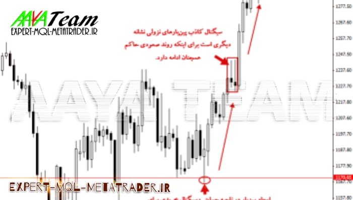 ۶ نکته برای تشخیص روند نمودار قیمت