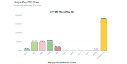 جریان سرمایه ورودی به ETF های بیت کوین در روز دوشنبه به ۲۳۷ میلیون دلار رسید