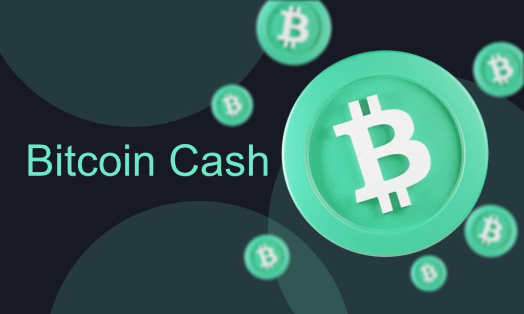 افزایش قیمت بیت کوین کش (BCH) در ۲۴ ساعت گذشته